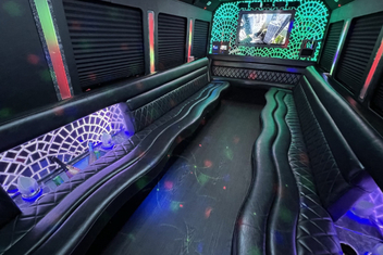 Albany Limo Bus Interior